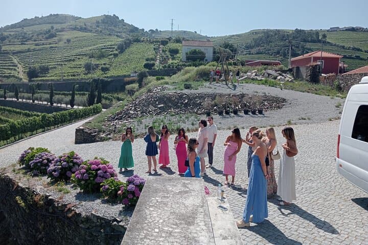 Douro Valley Wine Tour: 4 Vineyard Visits and Lunch from Porto photo 5