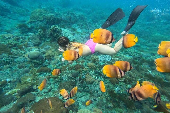 Discover Ocean Marvels: Snorkeling Adventure in Nusa Lembongan photo 4
