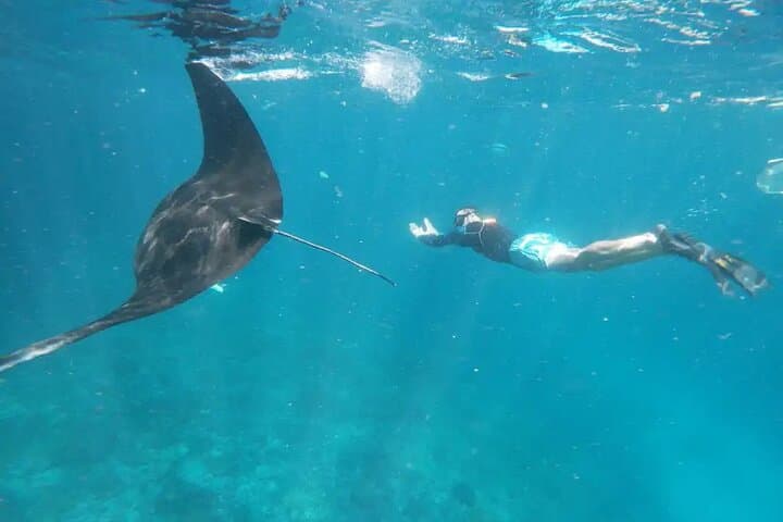 Explore Nusa Penida: Snorkeling Adventures at Manta Bay photo 3