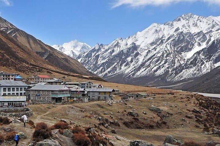 8-Day Langtang Valley Trek: Kyanjin Gompa & Tserko Ri Adventure photo 5