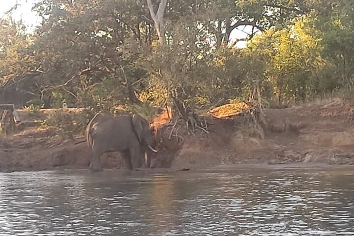 Sunrise Zambezi River Breakfast Cruise at Victoria Falls photo 6