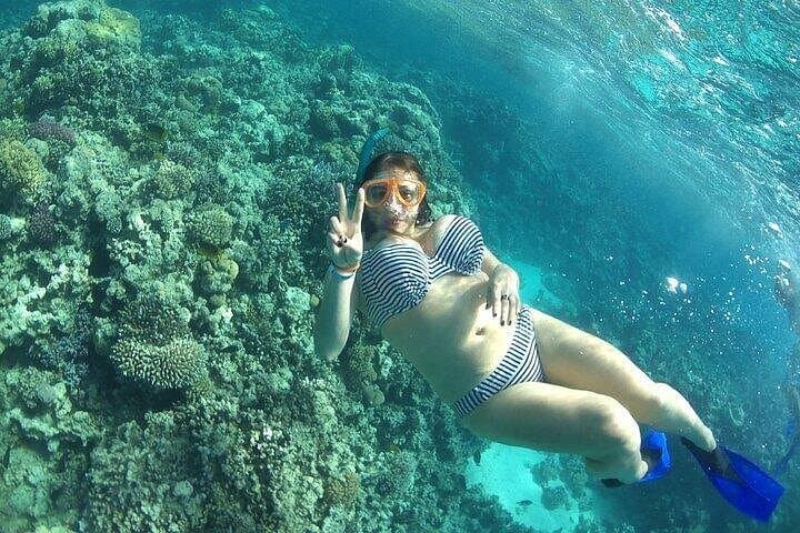 Marsa Alam Super Moto: ATV, Buggy & Snorkeling Adventure in the Red Sea photo 3