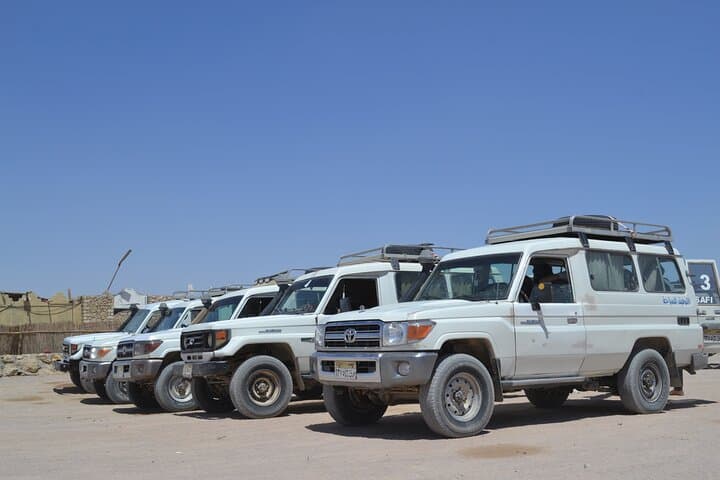 Marsa Alam Super Safari: Quad, Jeep, Camel & Bedouin Dinner photo 2