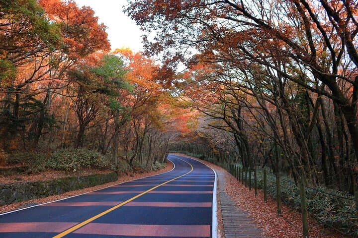 Exploring Jeju’s Scenic Central Coast: A Private Full-Day Adventure photo 3