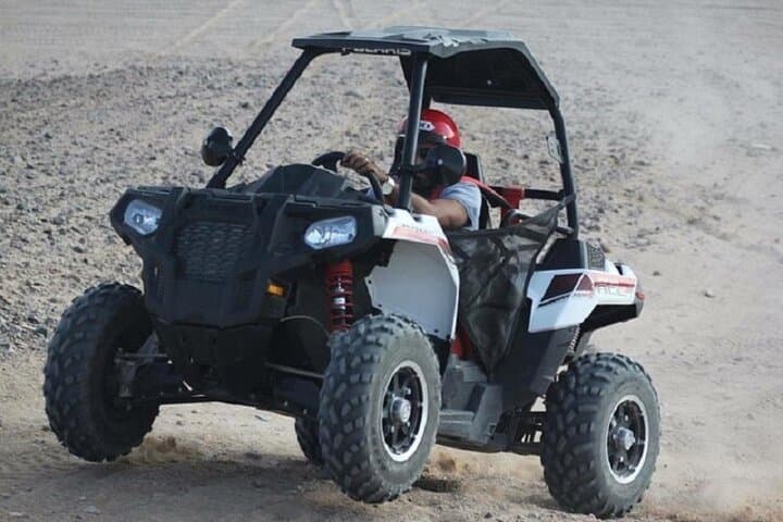 Marsa Alam Buggy Safari and Bedouin Camel Ride: Sunset Dunes & Desert Culture photo 6