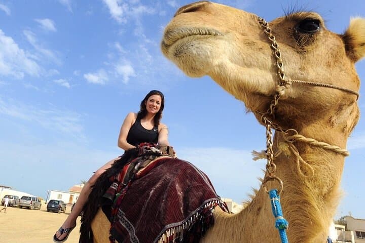 Marsa Alam Buggy Safari and Bedouin Camel Ride: Sunset Dunes & Desert Culture photo 2