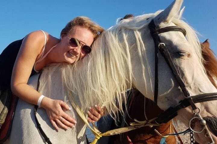 Sunset Desert Horseback Ride, Bedouin Dinner & Egyptian Show in Sharm El Sheikh