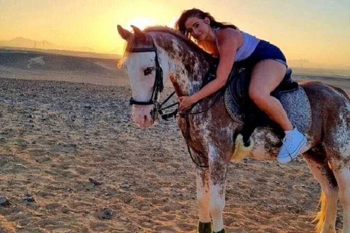 Marsa Alam Desert Horseback Ride — 2-Hour Arabian Horses with Transfer photo 2