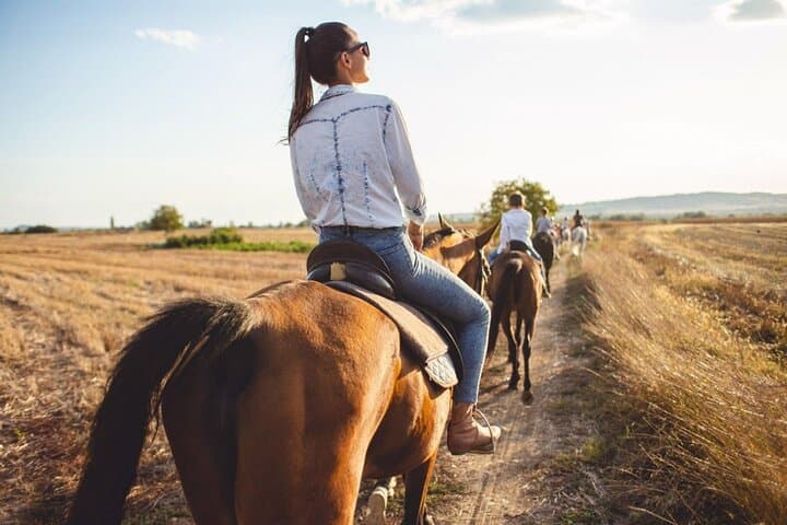 Marsa Alam Desert Horseback Ride — 2-Hour Arabian Horses with Transfer photo 5