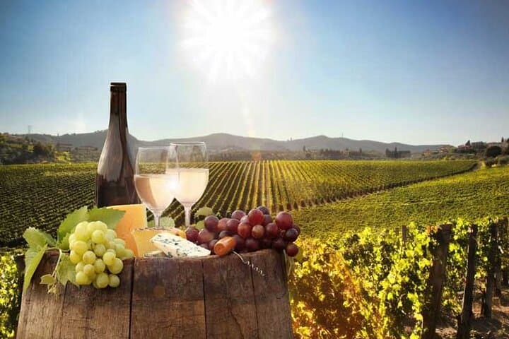 Cape Winelands Wildlife & Wine: Giraffe House, Cheetah Encounter and Private Tasting photo 6