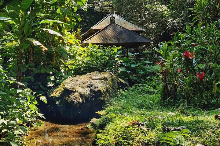 Afternoon Purification & Waterfall: Spiritual Journey Near Mt Batukaru photo 2