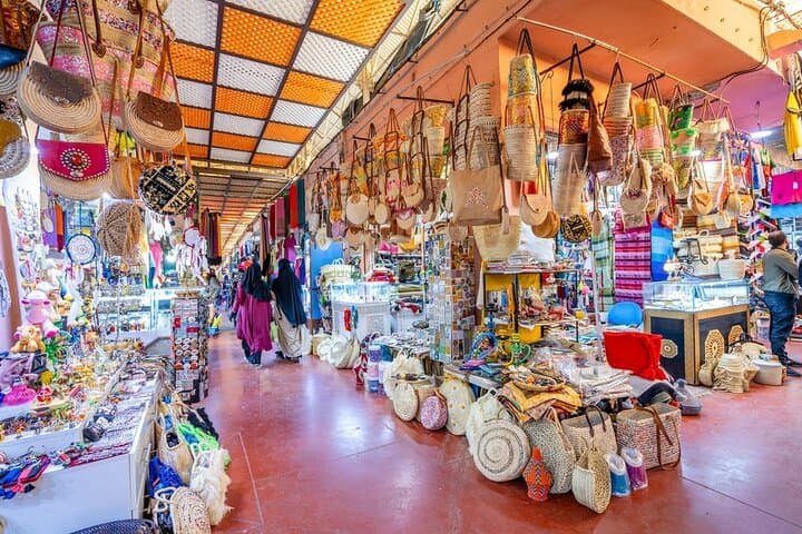 Casablanca to Marrakech Day Trip with Camel Ride in the Palmeraie photo 3