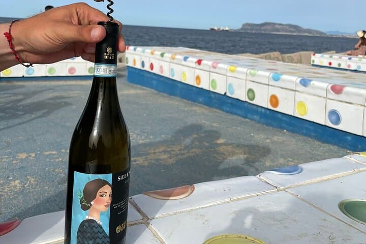Hidden Palermo Bike Tour & Organic Marsala Wine Tasting