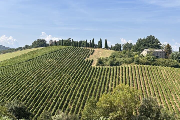 E‑Bike Food Tour: Parmigiano Reggiano, Balsamic & Lambrusco from Reggio Emilia photo 5