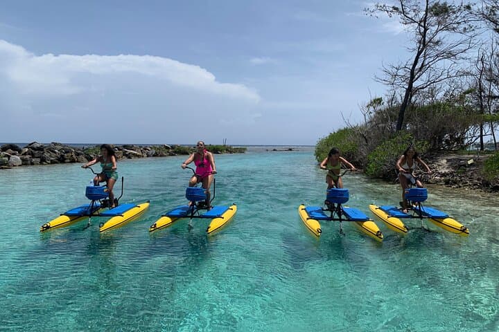 Eco-Friendly Hydrobike Tour and Private Island Beach Break in Roatán