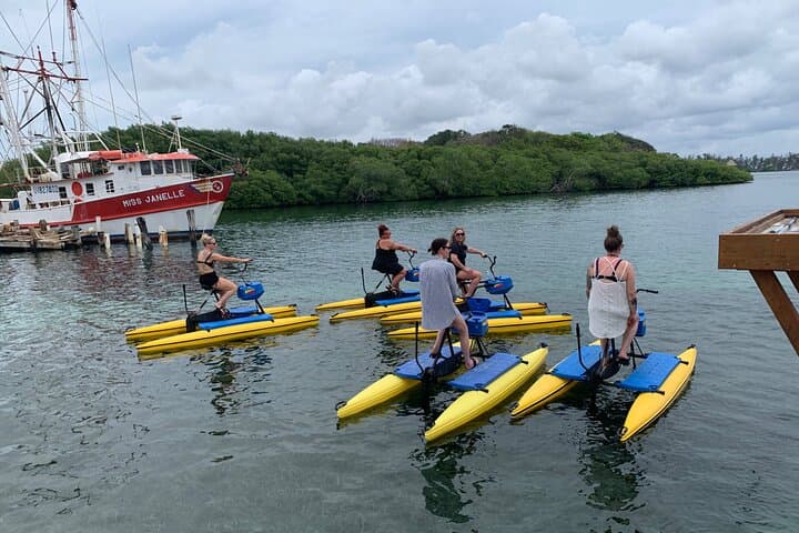 Eco-Friendly Hydrobike Tour and Private Island Beach Break in Roatán photo 6