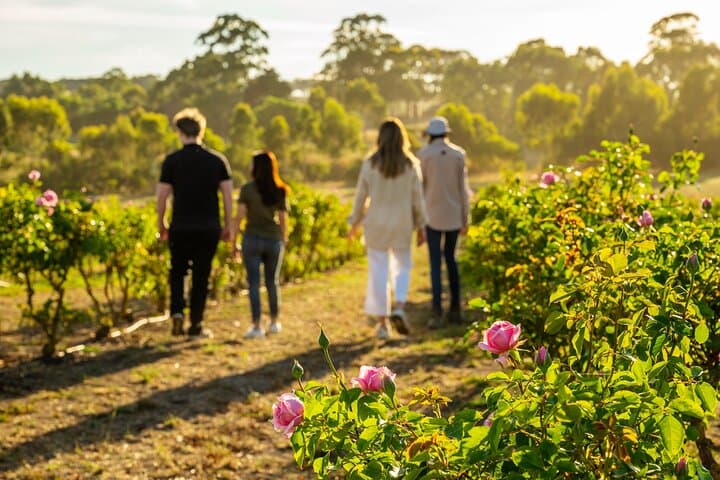 Jurlique Farm Tour: Behind-the-Scenes Biodynamic Farm Walk in the Adelaide Hills