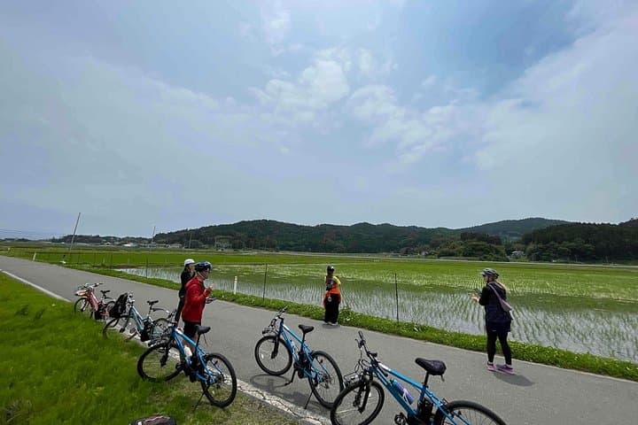 Michinoku Coastal E-bike Tour in Tanohata: Ride the Coastal Trail