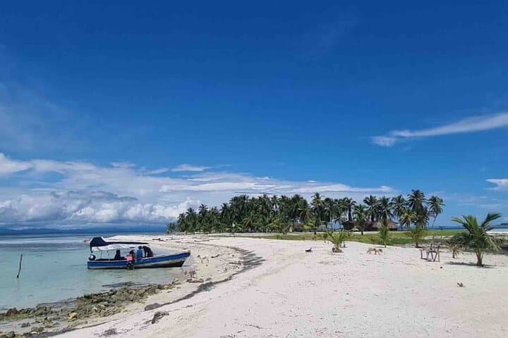 San Blas Island Hopping: Natural Pool, Isla Yansa & Exclusive Isla Misdup photo 3