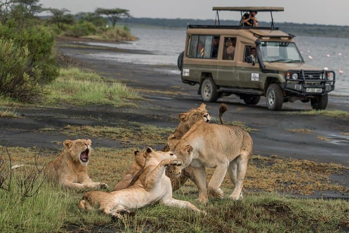 6-Day Ndutu Great Migration Safari — Serengeti, Ngorongoro & Tarangire photo 2