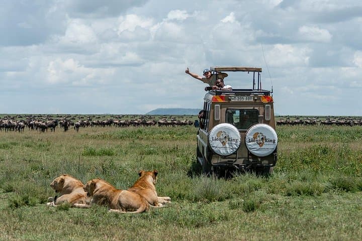 6-Day Ndutu Great Migration Safari — Serengeti, Ngorongoro & Tarangire photo 1