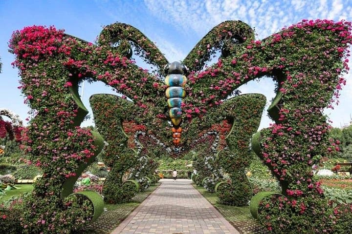 Dubai Miracle Garden & Butterfly Garden Combo: Seasonal Flower Displays and Visitor Tips photo 3
