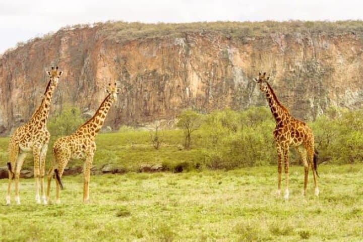 Overnight Mount Longonot, Lake Naivasha & Hell's Gate: Hike, Bike and Rift Valley Views photo 5