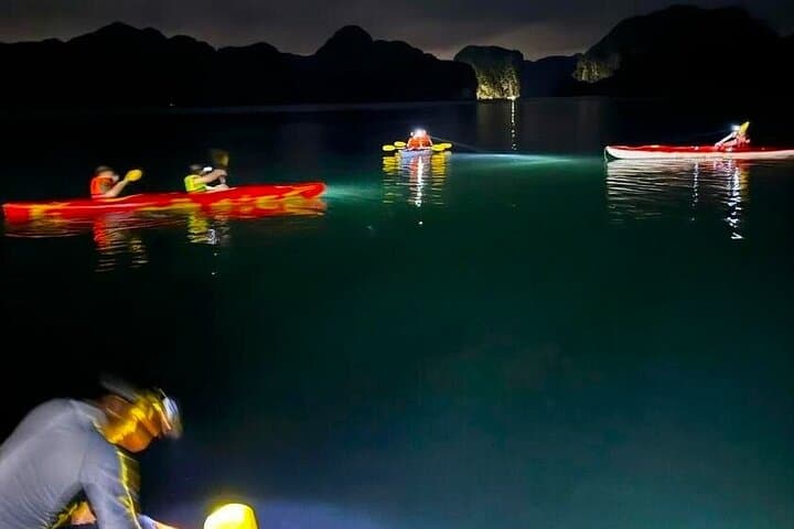 Lan Ha Bay Sunset Kayak and Bioluminescent Plankton Experience
