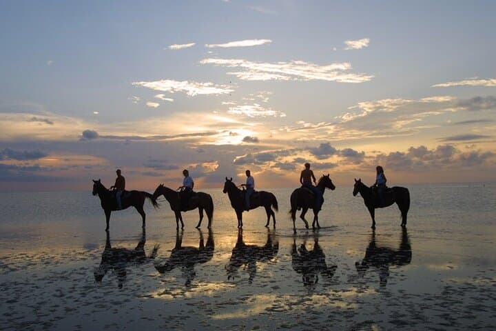 Mount Lavinia Beach Horseback Riding: Sunset Canters on Sri Lanka’s Shore photo 6