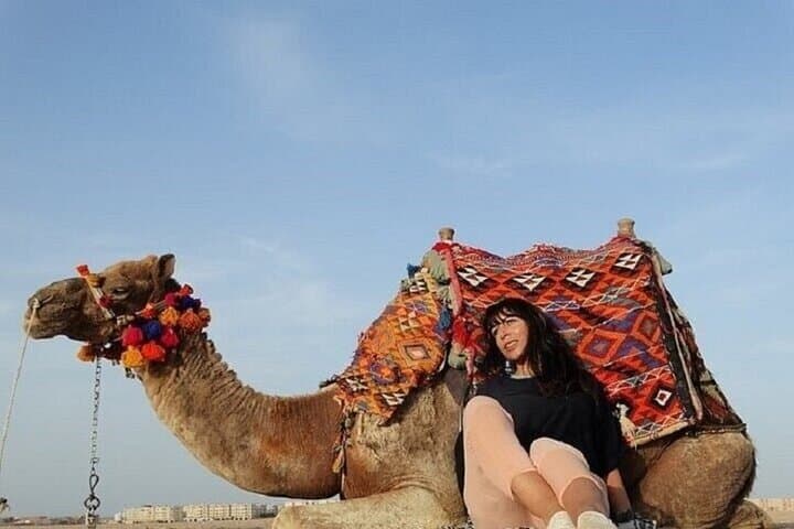 Hurghada Desert Camel Ride: 2-Hour Dune Journey and Bedouin Insights photo 2