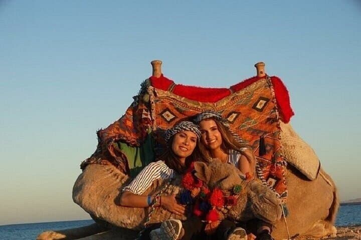 Hurghada Desert Camel Ride: 2-Hour Dune Journey and Bedouin Insights photo 4