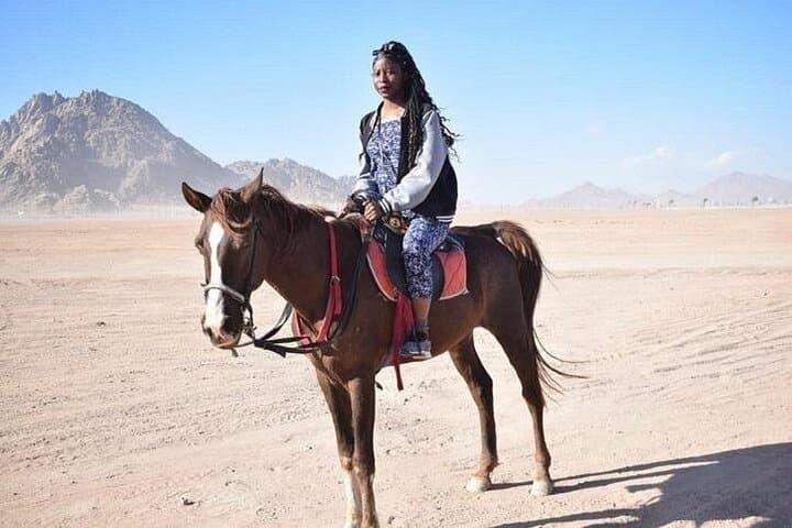Hammam and Sinai Horse Ride: 2-Hour Turkish Bath & Desert Ride from Sharm El Sheikh photo 2