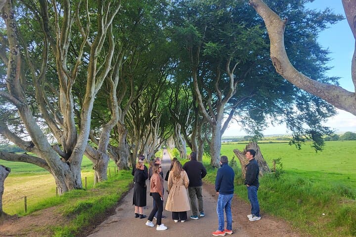 Belfast to Giant's Causeway: Luxury Private Mercedes Coastal Tour photo 2