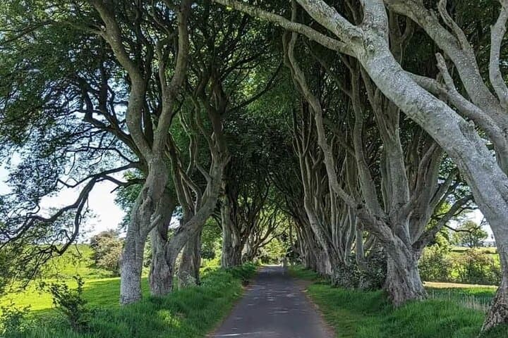 Belfast to Giant's Causeway: Luxury Private Mercedes Coastal Tour photo 3