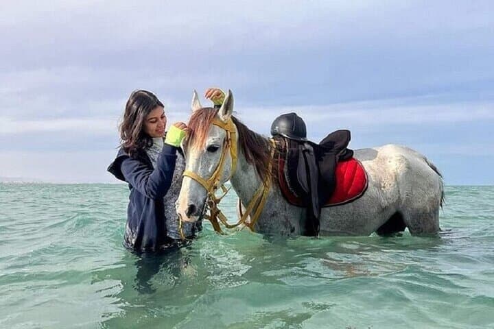 Horseback Riding and Swim with Horses in Hurghada: 4-Hour Beach & Desert Adventure photo 3