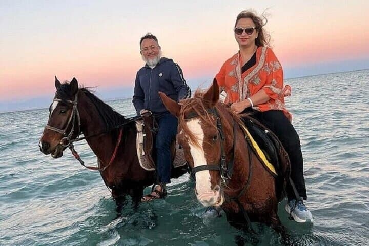 Horseback Riding and Swim with Horses in Hurghada: 4-Hour Beach & Desert Adventure photo 5