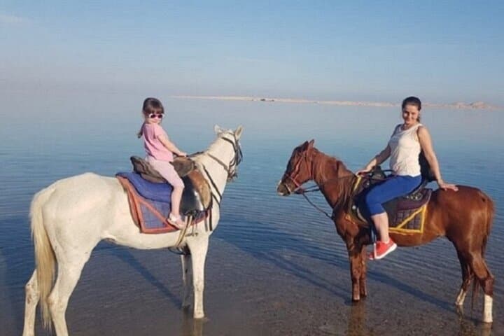 Horseback Ride Along Nabq Bay Beach — Sharm El Sheikh Coastal Riding photo 3