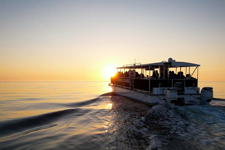 St. Pete Dolphin Watching and Shell Key Sunset Cruise: Evening Catamaran Tour
