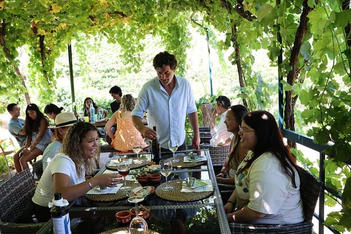Douro Valley Winery Visits, Lunch & Rabelo Boat Cruise from Porto photo 4