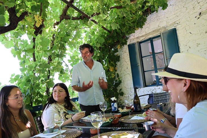 Douro Valley Winery Visits, Lunch & Rabelo Boat Cruise from Porto photo 3