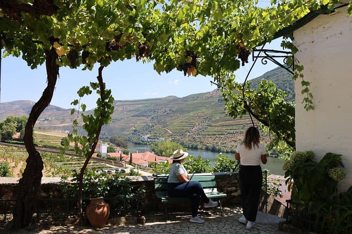Douro Valley Winery Visits, Lunch & Rabelo Boat Cruise from Porto photo 6