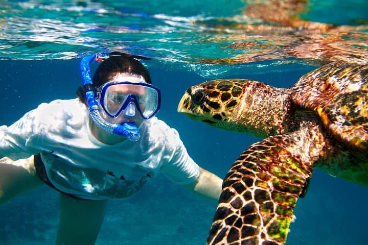 Kealakekua Bay Dolphin Reef Snorkel & Sea Caves from Kona photo 2