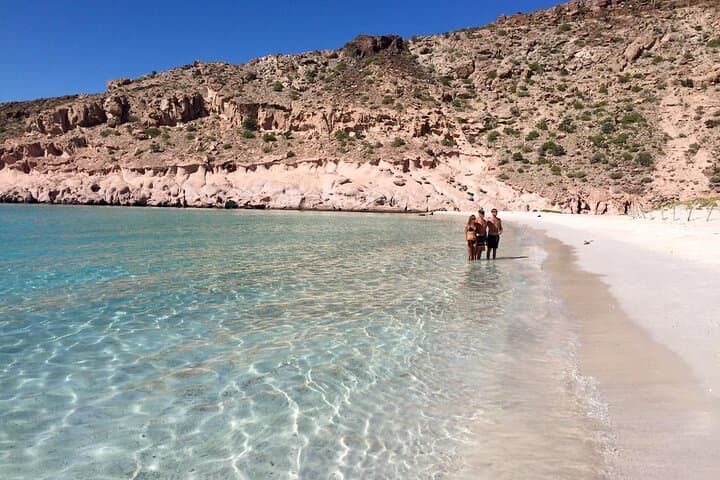 Espiritu Santo Island Snorkel & Sea Lion Encounter — Day Trip from La Paz photo 4