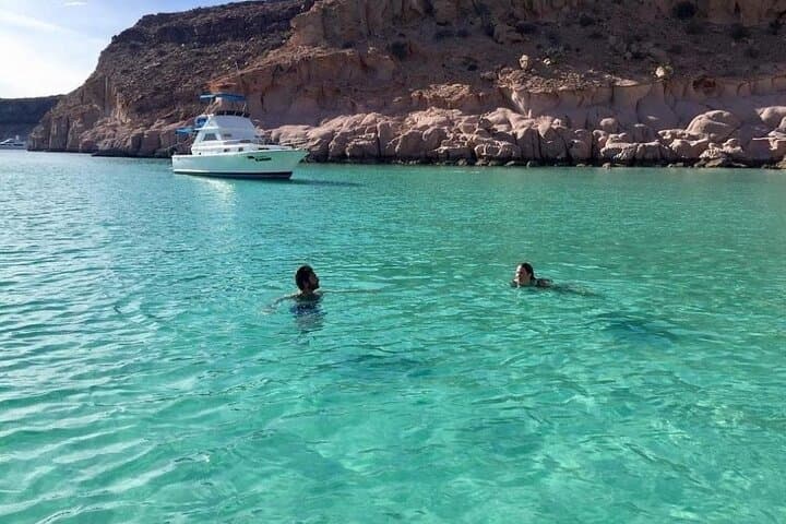 Espiritu Santo Island Snorkel & Sea Lion Encounter — Day Trip from La Paz photo 3