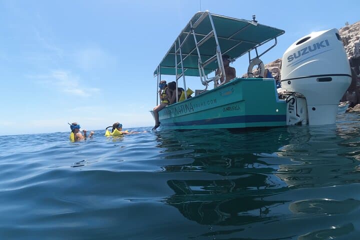 Espiritu Santo Island Snorkel & Sea Lion Encounter — Day Trip from La Paz photo 2