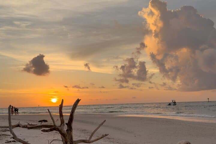 St. Pete Dolphin Watching and Shell Key Sunset Cruise: Evening Catamaran Tour photo 6