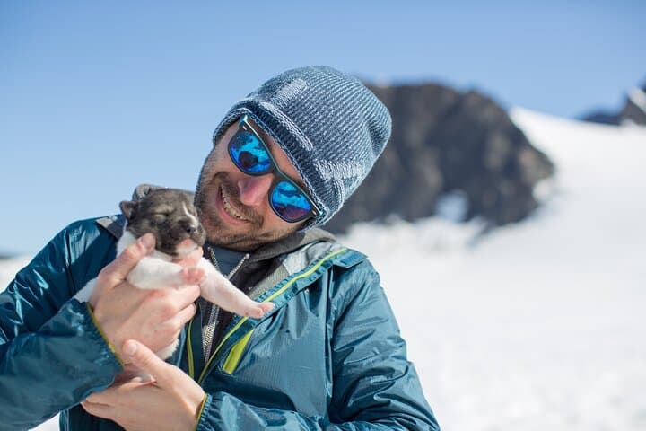 Helicopter Glacier Dogsled Tour Bear Glacier Lagoon Seward Alaska photo 3