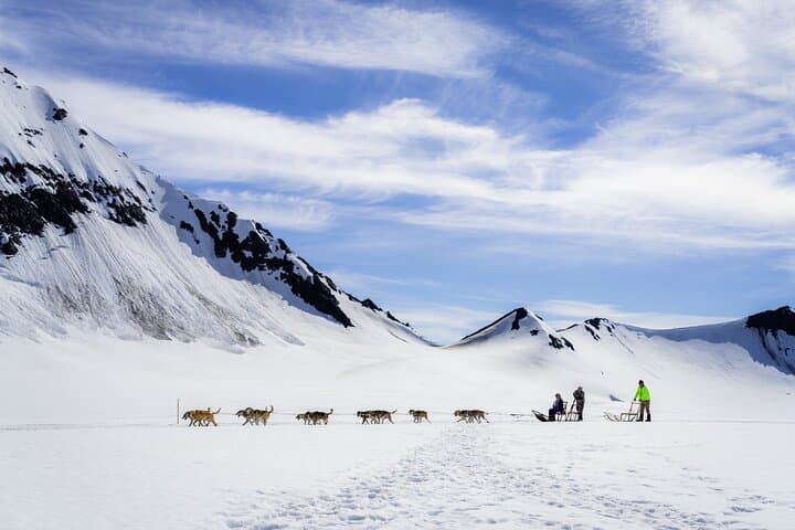 Helicopter Glacier Dogsled Tour Bear Glacier Lagoon Seward Alaska photo 4