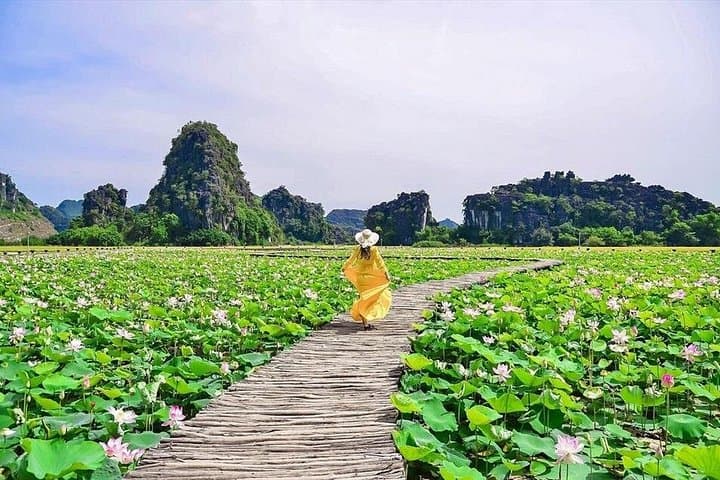 Full-Day Ninh Binh from Hanoi: Hoa Lu, Trang An Boat Cruise & Mua Cave Viewpoint photo 4