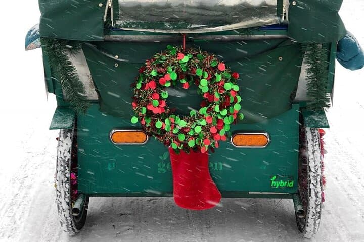 NYC Holiday Lights Pedicab Tour — Rockefeller Tree, Fifth Avenue Windows & Central Park photo 4